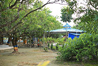 Picnic Spot